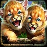 Kittens symbol in Cougar Cash pokie