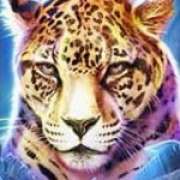 Leopard symbol in Big Cat Rescue Megaways pokie