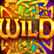 Wild symbol in Wild Wild Riches pokie