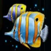 Fish symbol in Deep Sea Fortune pokie