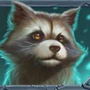 Raccoon symbol in Beasts of Fire pokie