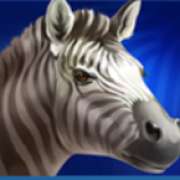 Zebra symbol in Lion Gems: Hold and Win pokie