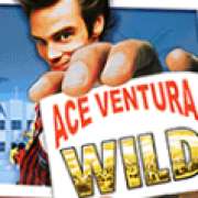  symbol in Ace Ventura: Pet Detective pokie