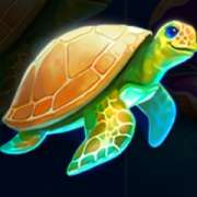 Turtle symbol in Pearl Diver 2: Treasure Chest pokie
