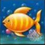 Sea fish symbol in Ocean Tale pokie