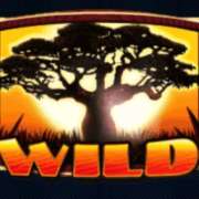 Wild symbol in Silver Lion Feature Ball pokie