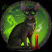 Cat symbol symbol in Wicked Witch pokie