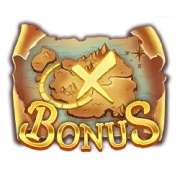 Bonus symbol in Pirate Multi Coins pokie