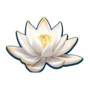Lotus symbol in Dragon’s Lucky 25 pokie
