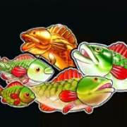 Fish symbol in Big Bass Splash pokie