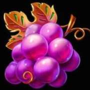 Grapes symbol in Fruit Blaze pokie