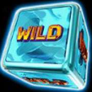Symbol Wild symbol in 2023 Hit Slot Dice pokie
