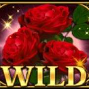 Wild symbol in Retro Love pokie
