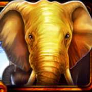 elephant symbol in African Luck pokie