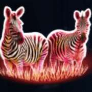 Zebras symbol in Silver Lion Feature Ball pokie