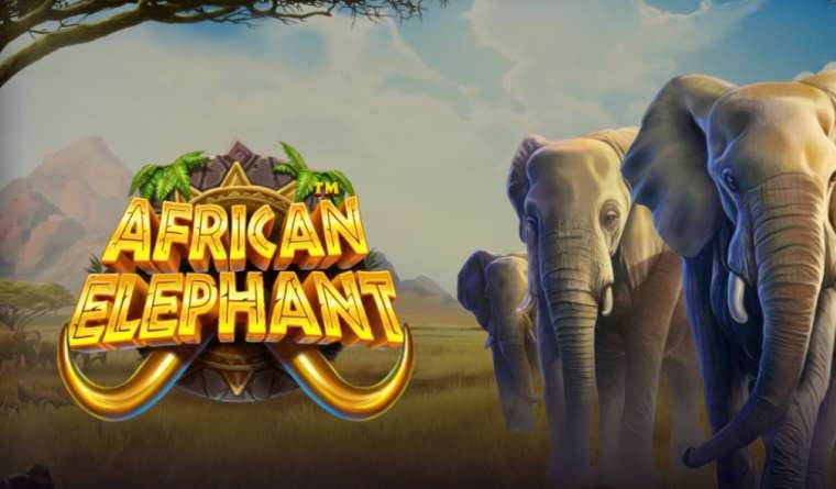 Play African Elephant pokie NZ