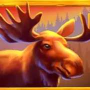 Deer symbol in Money Moose pokie