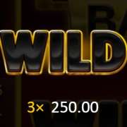 Wild symbol in 3 Coins Hold and Win pokie