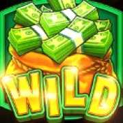 Wild symbol in Cash Bonanza pokie