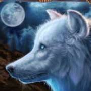 White wolf symbol in Wolf Canyon: Hold & Win pokie