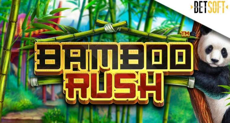 Play Bamboo Rush pokie NZ
