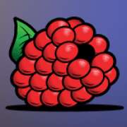 Raspberries symbol in Hold4Timer pokie