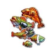 Big Bass Boxing Bonus Round: Fish (any line)