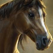 Big Bucks Bandits Megaways: Horse