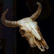 Big Bucks Bandits Megaways: Skull