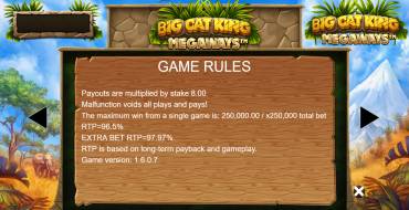 Big Cat King Megaways: Rules