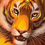 Big Cat King Megaways: Tiger
