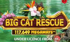 Play Big Cat Rescue Megaways