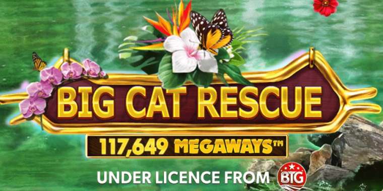 Play Big Cat Rescue Megaways pokie NZ