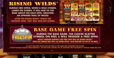 Big Chef: Free Spins