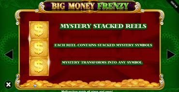 Big Money Frenzy: Unique features
