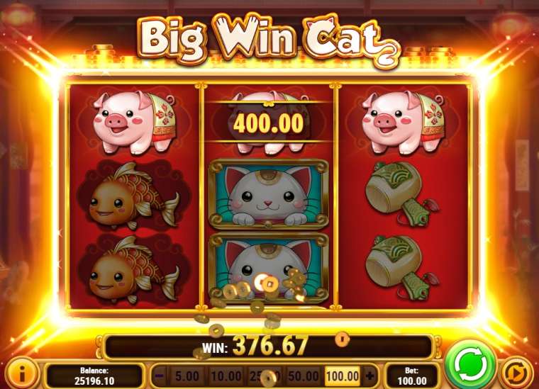 Play Big Win Cat pokie NZ