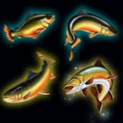 Bigger Size Fishin': Fish