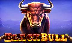 Play Black Bull