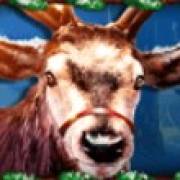 Book of Reindeer: Reindeer