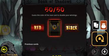 Book of Shadows: Card Risk Game