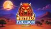Buffalo Freedom DoubleMax logo