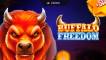 Buffalo Freedom DoubleMax logo