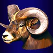 Buffalo Lightning: Goat
