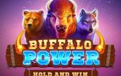 Buffalo Power: Hold and Win logo