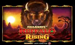 Play Buffalo Rising Megaways All Action