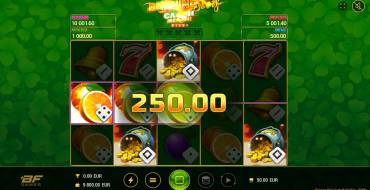 Burning Slots Cash Mesh Dice: Winnings
