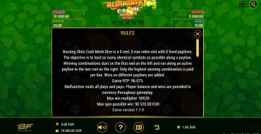 Burning Slots Cash Mesh Dice: Rules