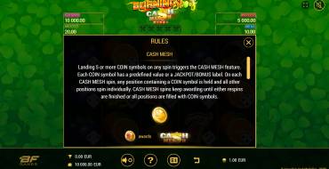 Burning Slots Cash Mesh Dice: Bonus games