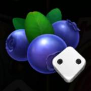 Burning Slots Cash Mesh Dice: Blueberries
