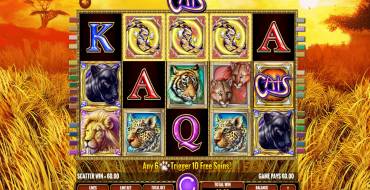 Cats: Winnings